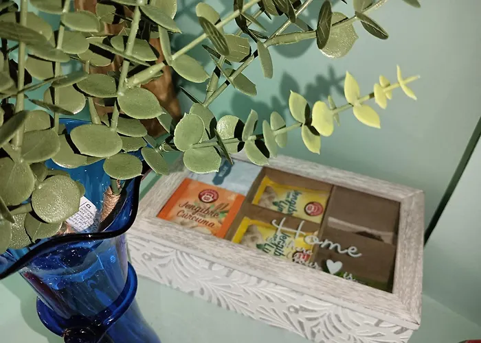 Appartement Centro Edificio Gran Via Con Parking Cubierto Gratis Viveiro